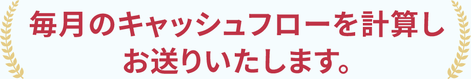 毎月のキャッシュフローを計算しお送りいたします。